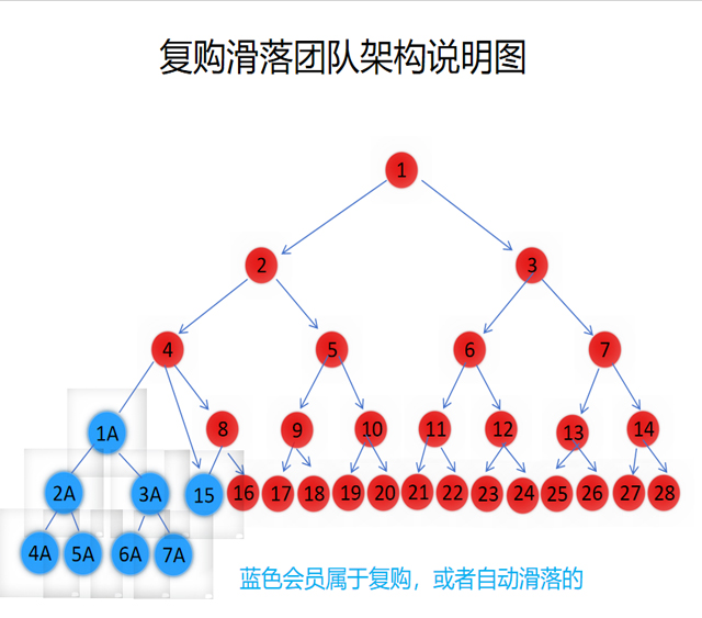 推荐关系树